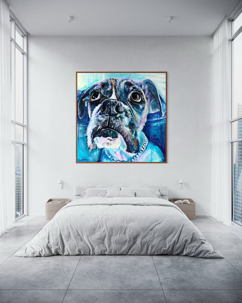 Pet Portraits