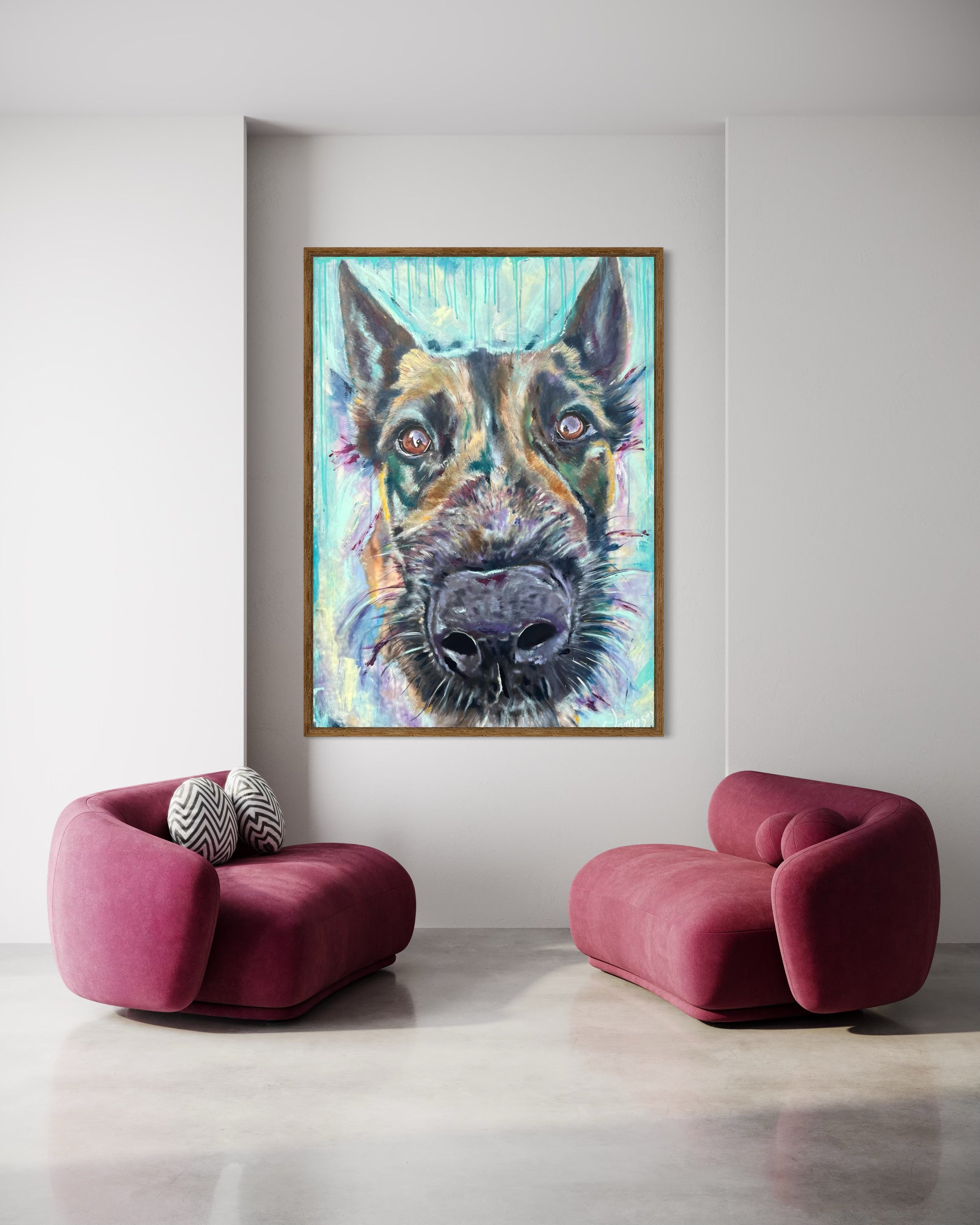 Pet Portraits